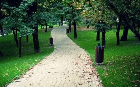 Alley - parkway, trees, peace, place, avenue, road, parc, nature, quiet, alley, green