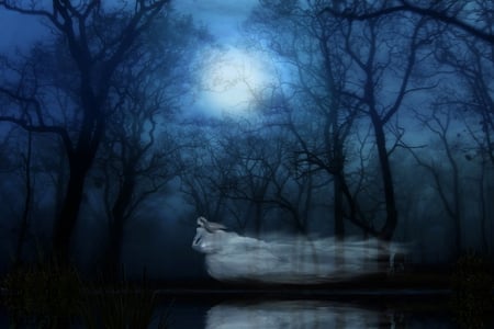 The ghost in forest - trees, fantasy, ghost, magic, woman, fullmoon, forest, dark