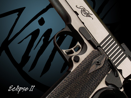 COOL GUN WALLPAPER - nice, fast, amazing, death, cool, beautiful, action, wallpaper