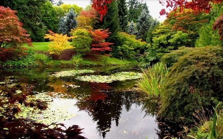 a hidden lake - yellow, beautiful, autumn, garden, red, green, lake, leaves