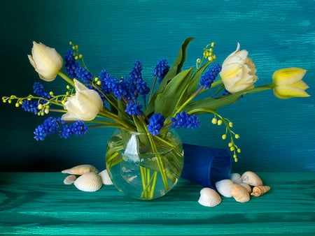 Still life - pretty, delicate, yellow, blue, beautiful, seashells, lovely, still life, harmony, flowers, tulips, nice