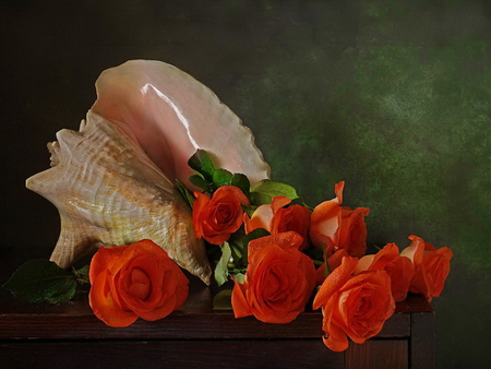 Still life - pretty, roses, seashell, beautiful, red, nice, lovely, still life