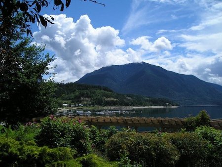 Nakusp, Canada - clouds, trees, nakusp, water, flower, mountain, canada, lake, sky