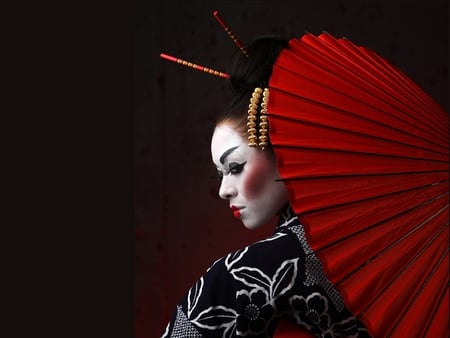 Geisha - nice, woman, lady, profile, beautiful, phot, orient