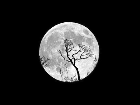 Moon - moon, inspirational, photo, black-and-white