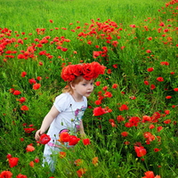 In poppy field