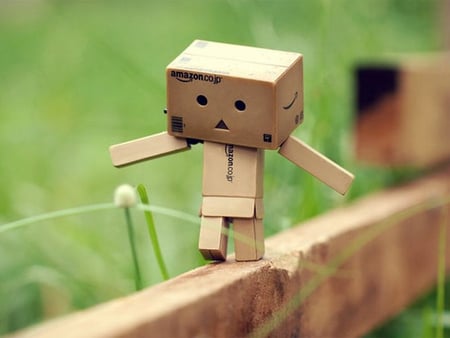 Never_Give_Up - picture, danbo, cool, never-give-up