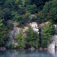 Lake in The Forest