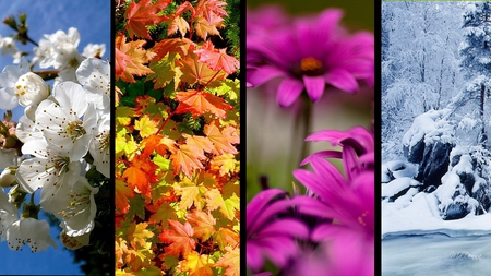 Bright Seasons - winter, summer, windows, collage, spring, firefox persona, tiles, fall, bright, seasons