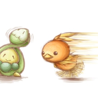 Budew and Torchic