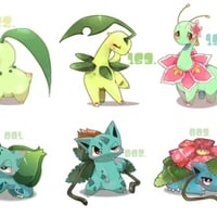 Grass Types