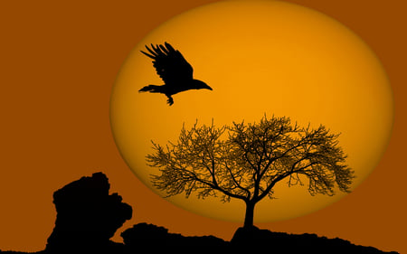 Ravens Ball - vivid, lone, black, bird, bright, cool, orange, flight, tree