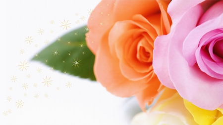 Tri Roses - gold stars, flowers, roses, yellow, summer, orange, firefox persona, pink