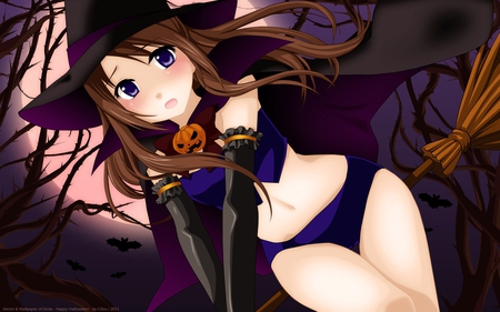 Little Witch - moon, bats, pumpkin, female, night, witch, broom, anime, moonlight