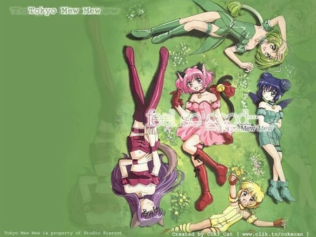 Tokyo Mew Mew-Mew Mew Circle - mew mews, cat-girls, anime, mew mew circle, other