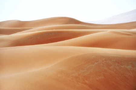 sahara - nature, deserts, sahara, landscape, gold, golden, lovely, sands