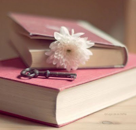 Key to Knowledge - key, white, books, flower, knowledge