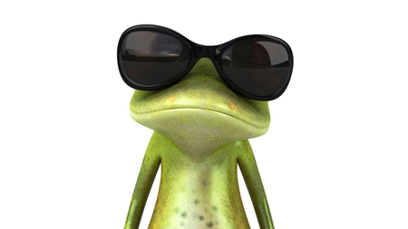 frog, sunglasses, sympathetic, Bohemia - frog, bohemia, sunglasses, sympathetic