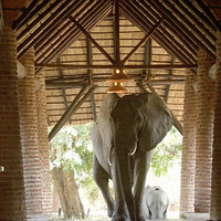 ELEPHANT ENTRANCE