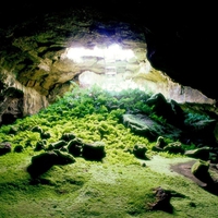 big cave, grass, light, nature