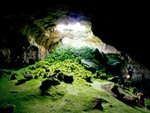 big cave, grass, light, nature