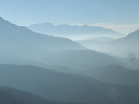 Misty morning