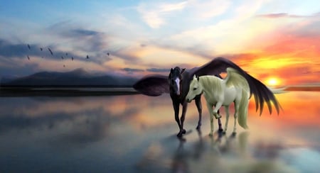 Winged Horses - abstract, fantasy, sunset, winged, horses, horse