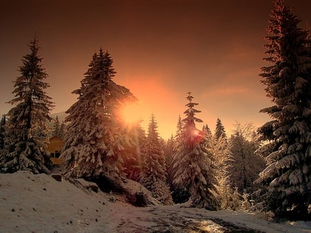 winter sunset - trees, winter, sunset, nature, snow, sun