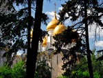 the temple through the trees