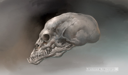 Head bone - digital, head bone, fan, picture, image, skull, art