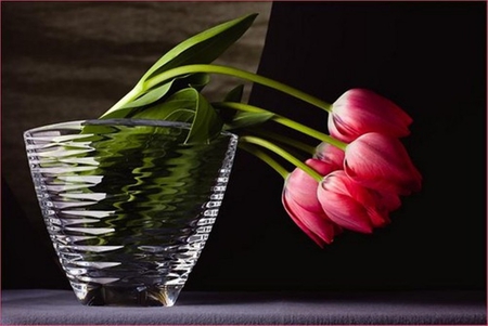 Sad tulips - beauty, sadness, sad, beautiful, tulips, flowers, vase