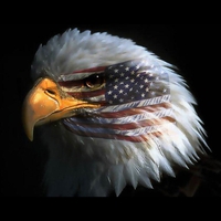 THE AMERICAN EAGLE