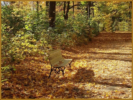 A Place to Seat - autumn, trees, bench, path, bushes, nature, fall, forest, bunch, leaves, shadow