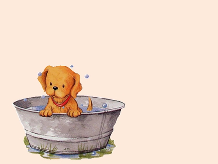 Bath time - collage, dog, bath, animal, cute