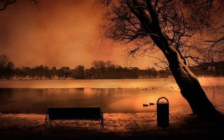 silhouette of beauty - trees, water, pond, evening, reflection, sunset, nature, lake, dusk, park