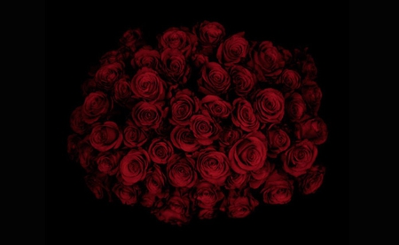 Bouquet of roses - beauty, roses, beautiful, bouquet, flowers, wonderful, red roses