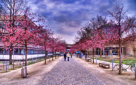 dreamy way - nice, people, red, way, tree, road, path