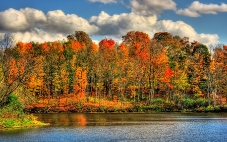 Autumn Colors - beauty, autumn, sky, trees, peaceful, water, colorful, autumn leaves, wood, fall, view, reflection, clouds, river, tree, grass, lake, landscape, lovely, nature, autumn colors, woods, forest, beautiful, leaves, splendor, colors