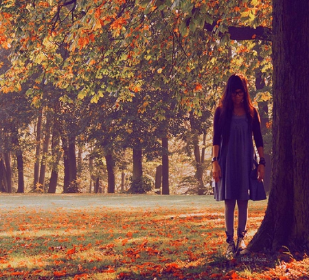 the story behind - leaves, female, trees, girl, autumn