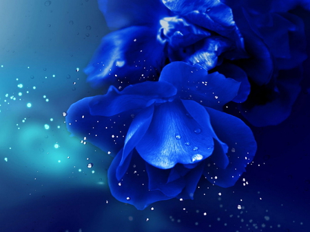 Wet blue flower - pretty, blue, beautiful, nice, wet, lovely, flower