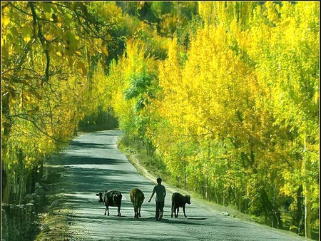 Hunza-Pakistan - picture, hunza, pakistan, beautiful