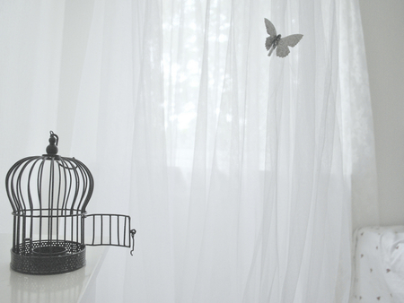 FLY AWAY - cage, soft, photography, mystic, bw, fairy