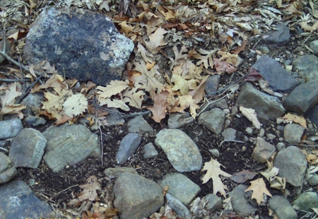 Rocks and leaves - fall, rocks, leaves, gray