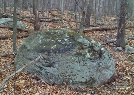 A great rock to climb on - rock, big, trees, gray