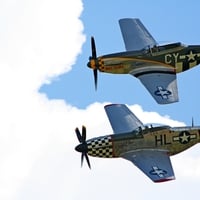 P51 Mustangs