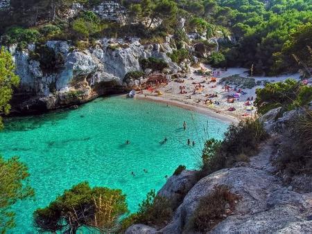 Everybody at the Beach - rock, trees, water, beach