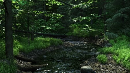 When a Tree Falls - trees, spring, rocks, creek, woods, flowing, forest, green, grass