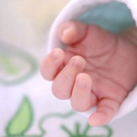 Cute Baby Hands