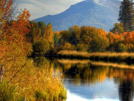 Autumn Creek - fall, nature, scenery, autumn, creek, mountains, leaves