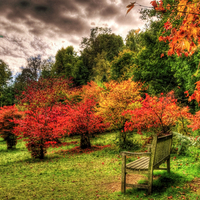 Autumn-HDR